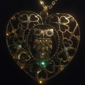 Owl in a heart shaped pendant necklace